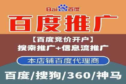 行业领先企业的sem竞价策略：成功案例剖析